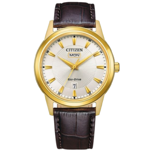 שעון Citizen מקורי דגם CIAW010213A